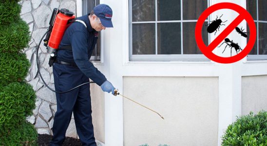 Ağın Böcek ve Haşere İlaçlama böcek ilaçlama ve haşere kontrolü — ilaclama-tr.com
